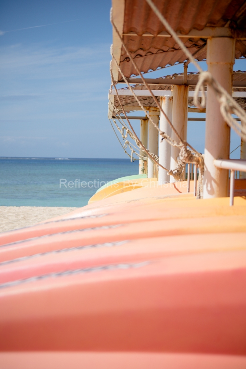 Sherbetlineup-ReflectionsbyChristina