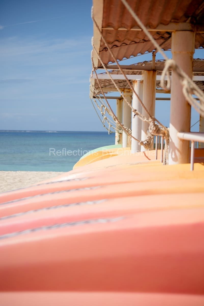 Sherbetlineup-ReflectionsbyChristina