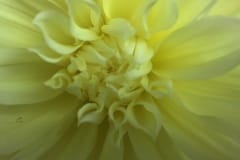 C3E1C4FF-A885-432A-AC33-27757419DCD7