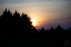 Morning Dawn